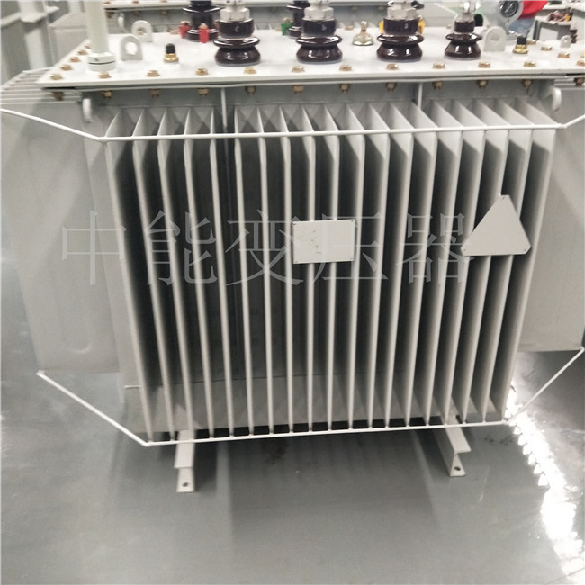 湘西S20-800KVA变压器