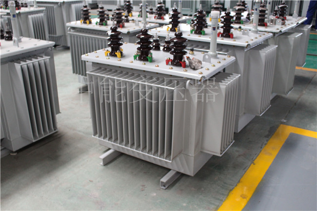湘西S22-100KVA/10KV/0.4KV变压器